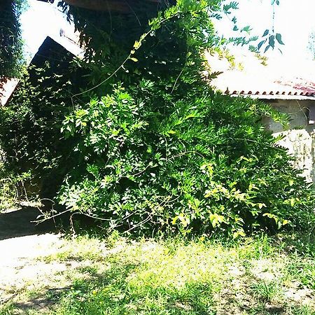 Quinta De Abol De Baixo Entre-os-Rios Exterior foto