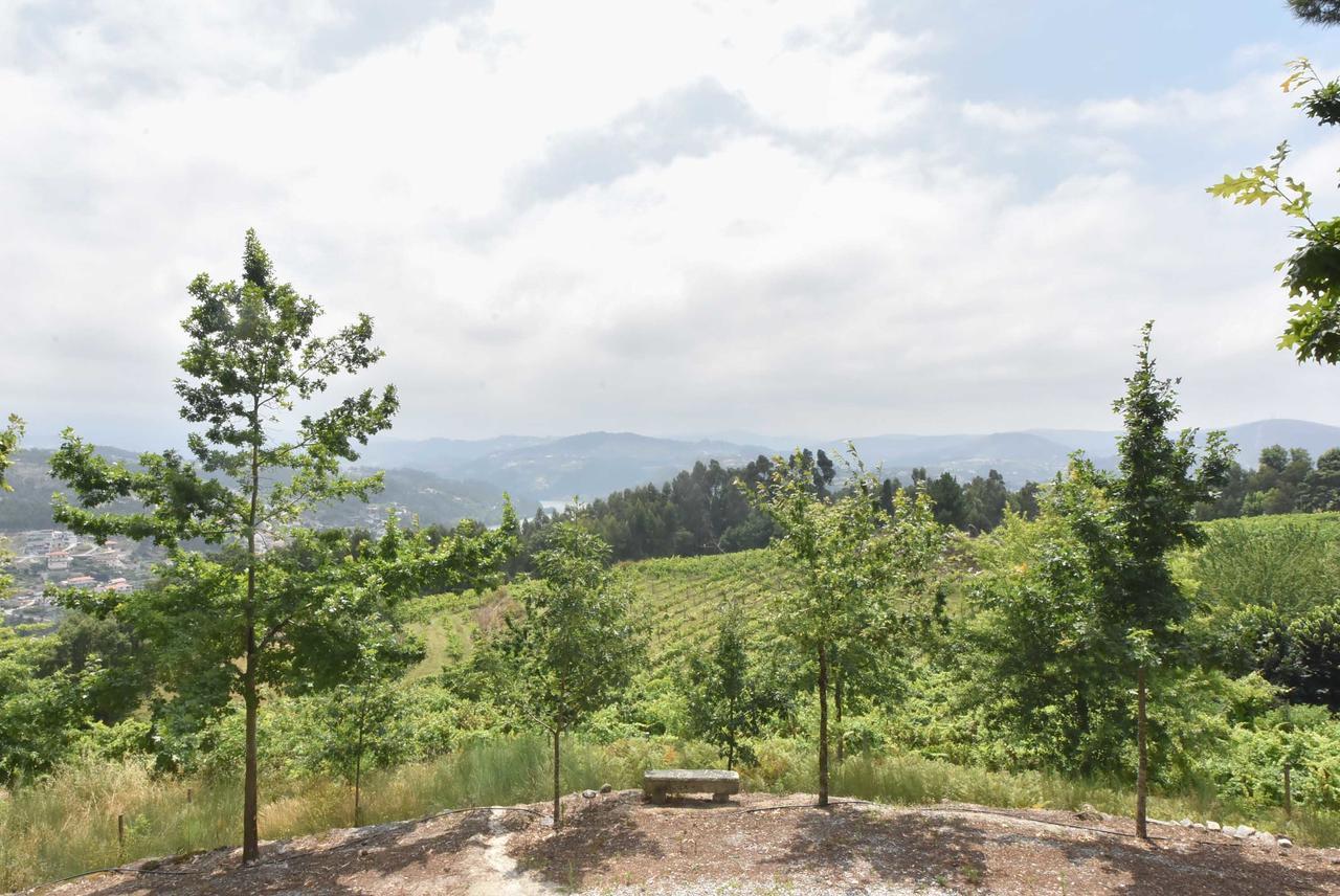Quinta De Abol De Baixo Entre-os-Rios Exterior foto